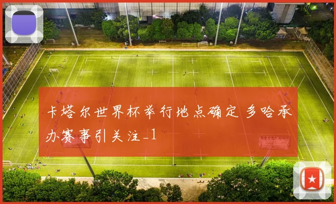 卡塔尔世界杯举行地点确定 多哈承办赛事引关注_1