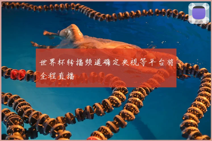 世界杯转播频道确定央视等平台将全程直播