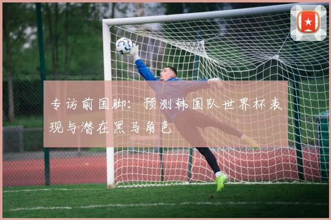 专访前国脚:预测韩国队世界杯表现与潜在黑马角色