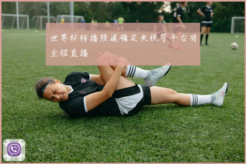 世界杯转播频道确定央视等平台将全程直播