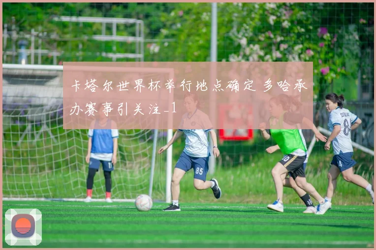 卡塔尔世界杯举行地点确定 多哈承办赛事引关注_1