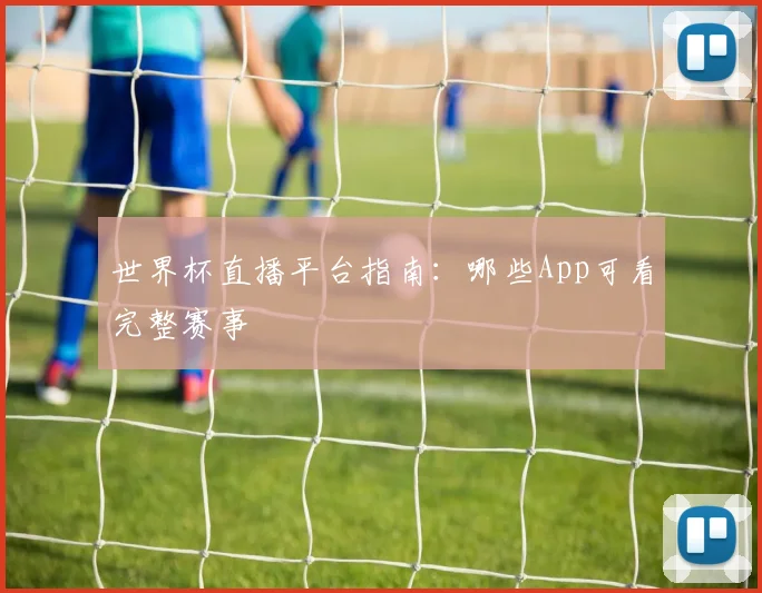 世界杯直播平台指南:哪些App可看完整赛事