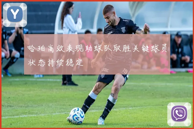 哈珀高效表现助球队取胜关键球员状态持续稳定
