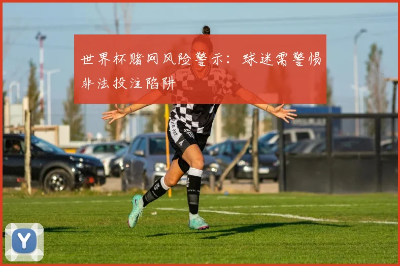 世界杯赌网风险警示：球迷需警惕非法投注陷阱