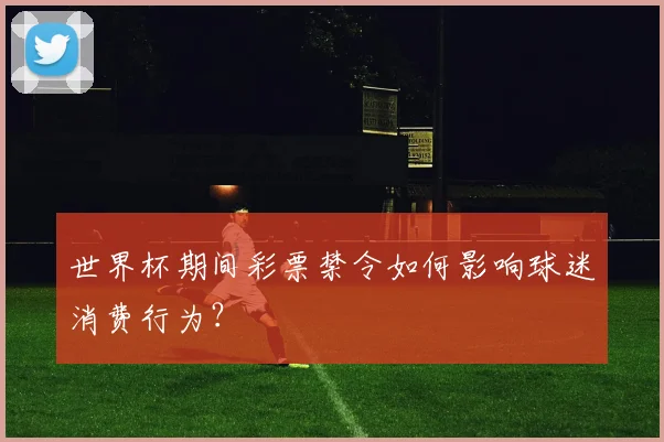 世界杯期间彩票禁令如何影响球迷消费行为？