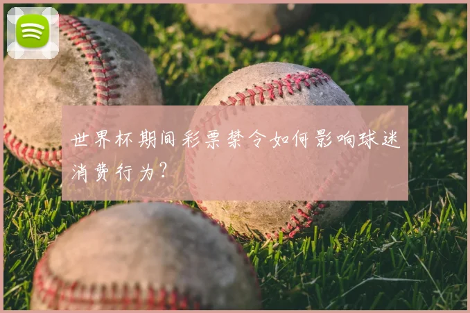 世界杯期间彩票禁令如何影响球迷消费行为？