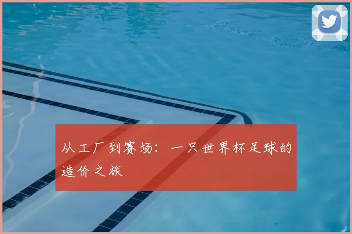 从工厂到赛场：一只世界杯足球的造价之旅