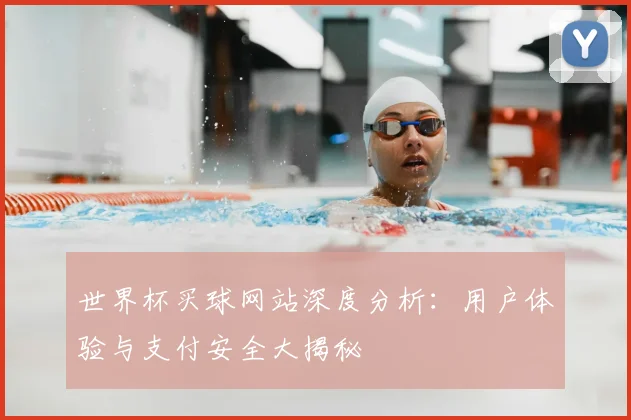 世界杯买球网站深度分析：用户体验与支付安全大揭秘