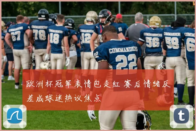 欧洲杯冠军表情包走红 赛后情绪反差成球迷热议焦点